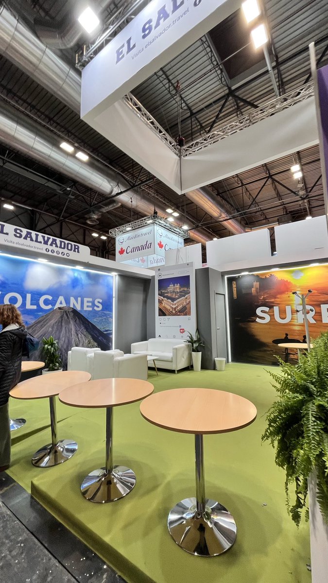 Andrea Alling Belt tweet media