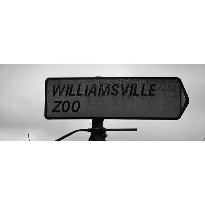 PATRICK 🇨🇮 tweet media