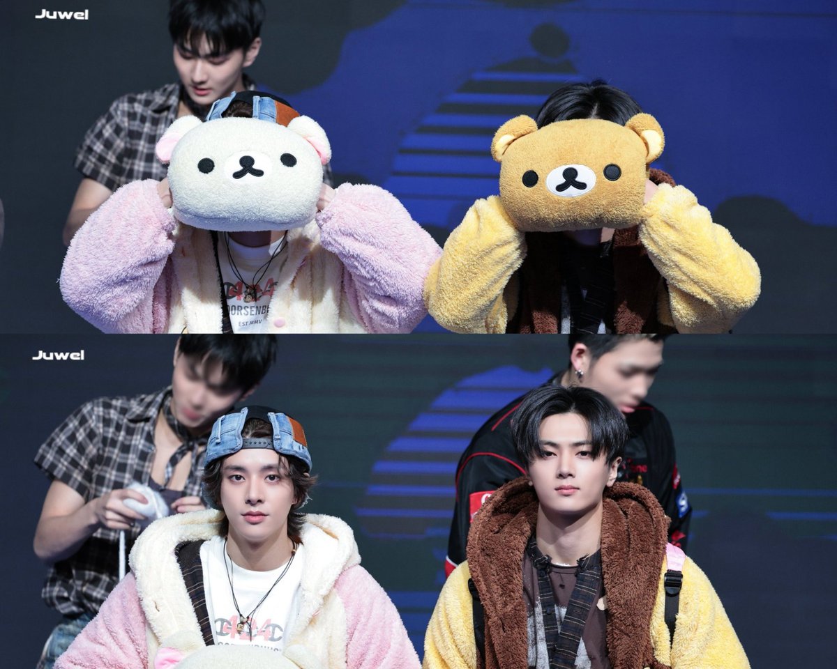 ikeulubb's tweet image. baby aussie golden retriever milk layla puppy and baby aussie golden retriever milk layla puppy final boss🫡