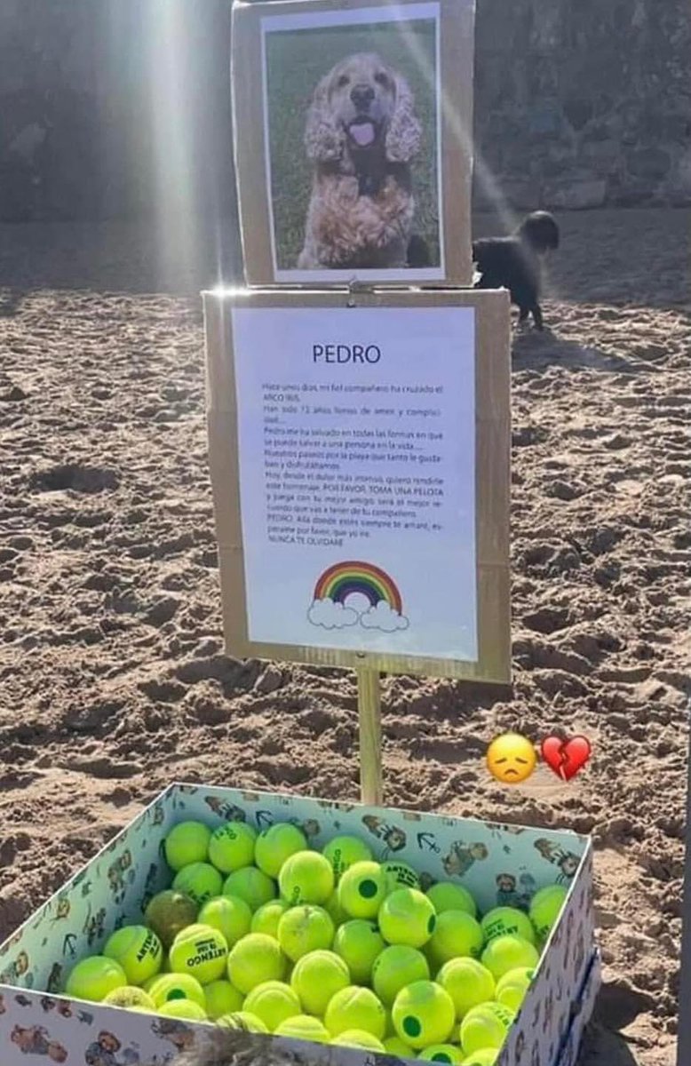 Animalitos en aprietos. tweet media