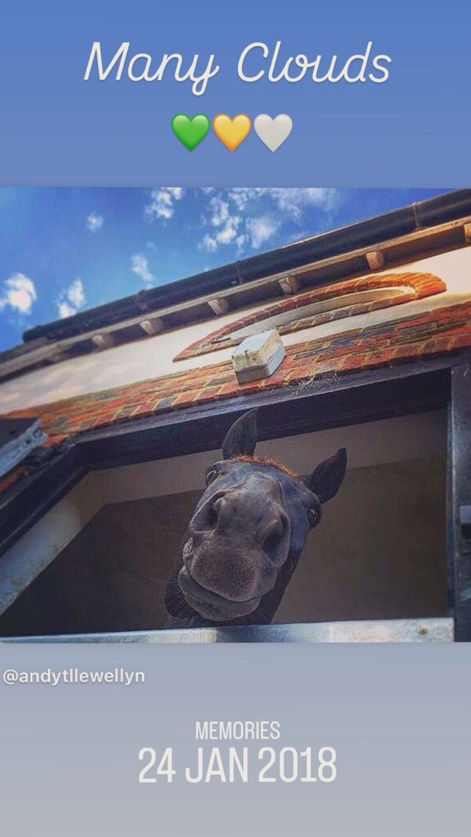 Andrew Thomas Llewellyn tweet media