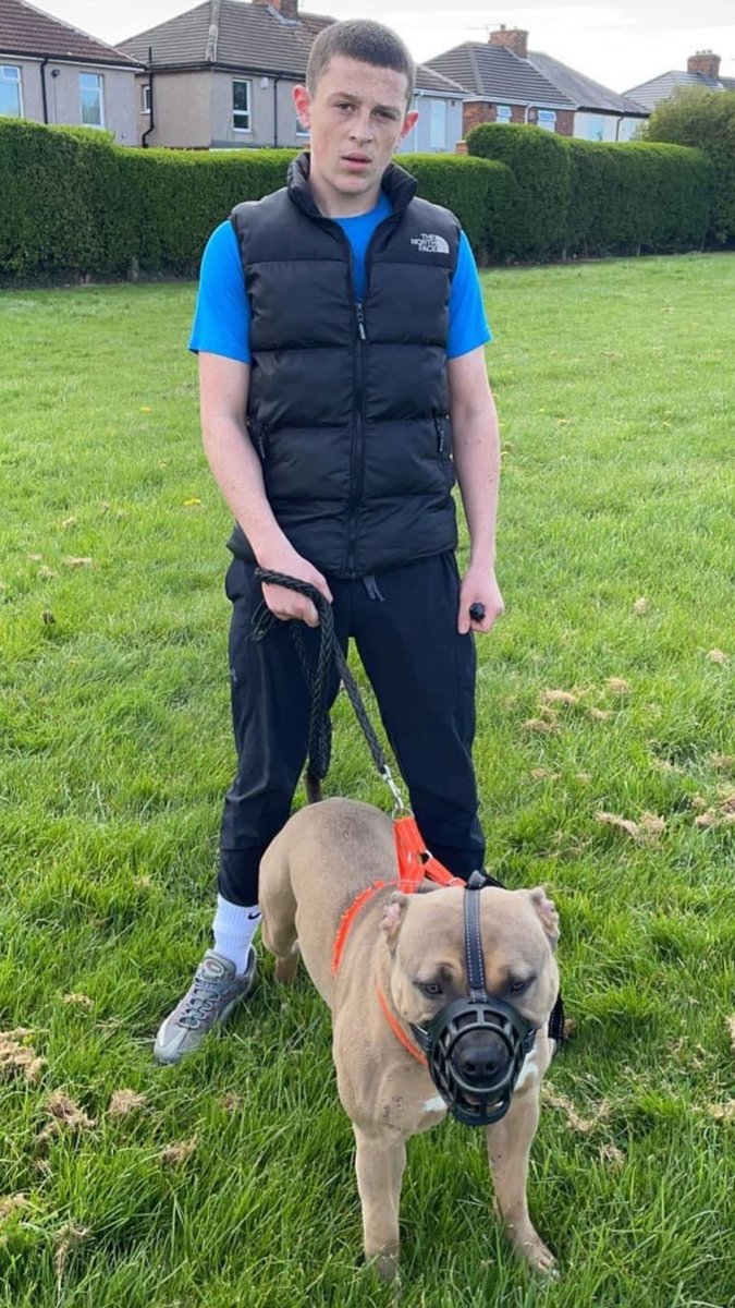 Scally Chav Lad Craig - Gay Lad tweet media