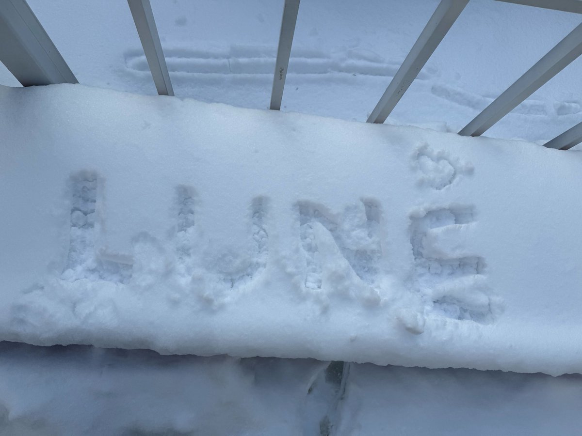 riceballuver's tweet image. 뮤비찍을때 손시뻘게져서 눈사람만들고 쌓인 눈 위에 LUNÉ 글자도 새기고 눈내리면 달려나가서 셀카찍는남자아이가 너무너무좋음....... 아직도 죠한텐 내리고 쌓이는 눈이 낭만이라서