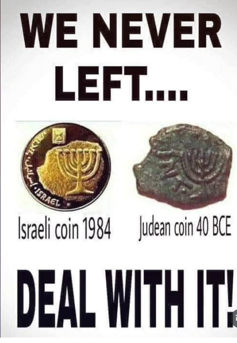 Yisrael official 🕎 tweet media