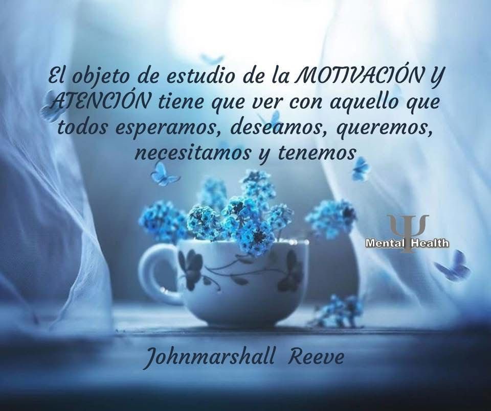 MentalHealthPs1's tweet photo. #TeamOlvera🇲🇽🏊🏻‍♂️🔝🔥🥇🥈🥉💪🏻🧠
#TeamMora🇲🇽🥊🔝🔜🔥🏆🧠 
#SportsPsychology #MentalHealth 🧠 #Focus #Diving #MentalToughness #PsicologíaDelDeporte #SomosSolcpad https://t.co/kCdqXcTsOm