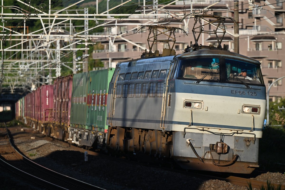 Hiroro (@5vf9ivvJhNQlXCc) / Posts / X