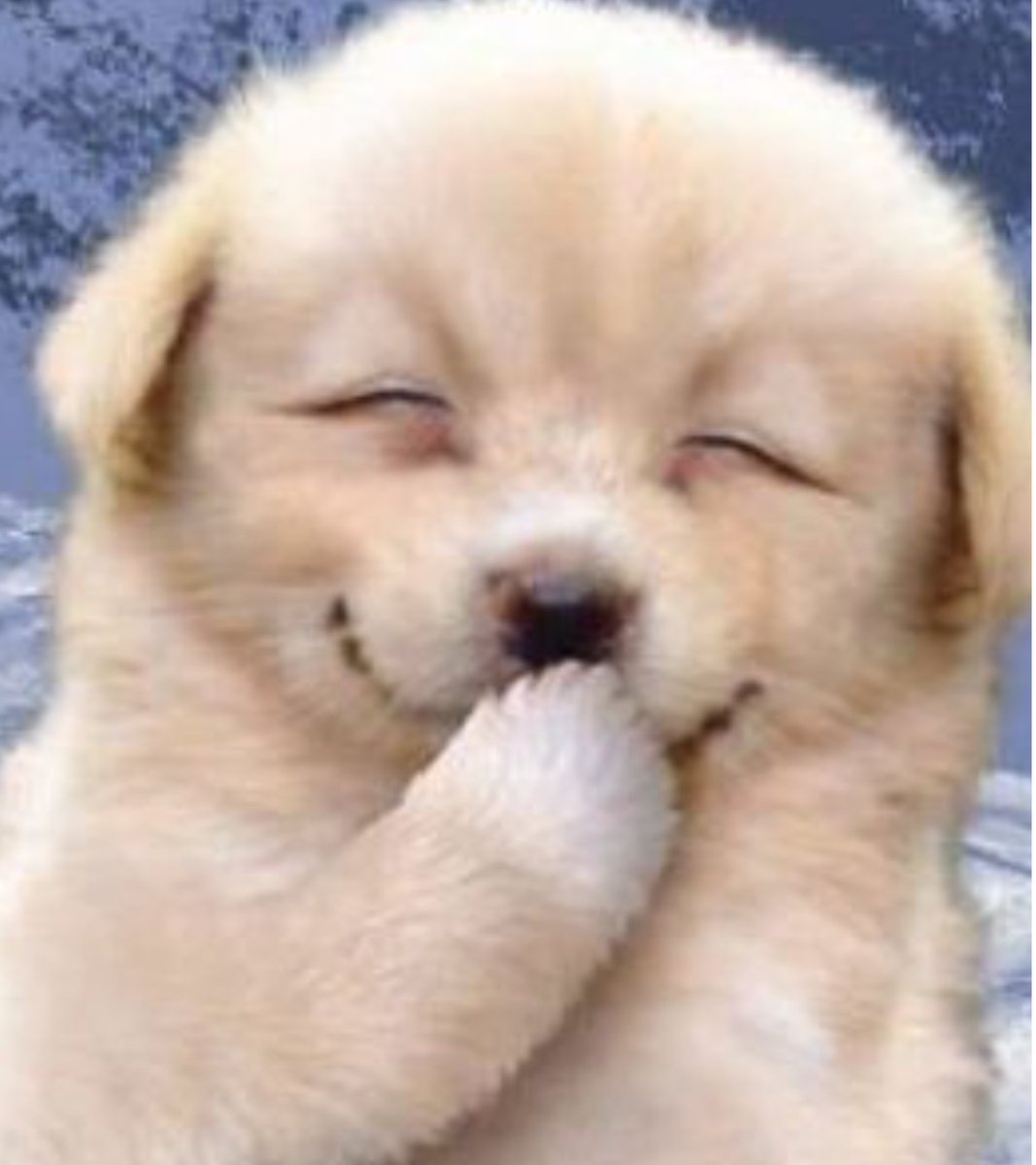 はーーーーーかわいい🤭🤭🤭
長時間配信ありがとう幸🫶🏻︎🌟

#なこるーむ    #矢吹奈子