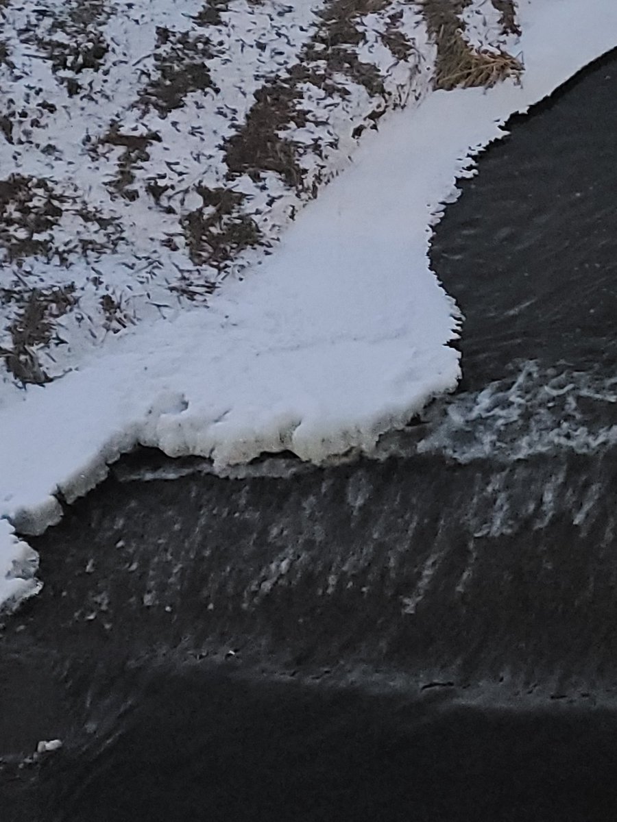 저 친구는 저 한가운데서 무슨 생각을 하고 있었을까
