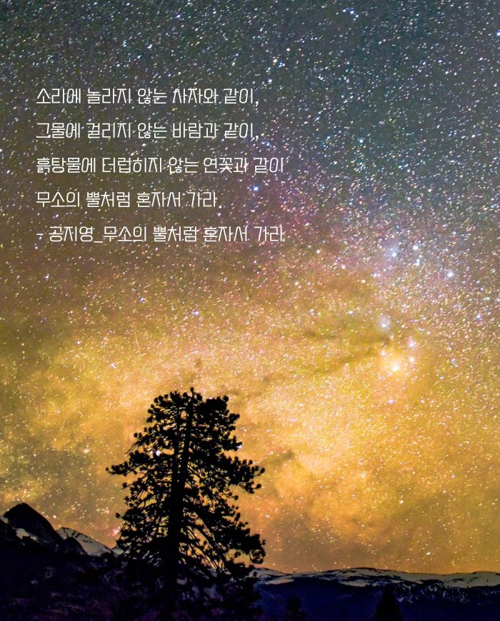 🌈리토💤 ⍢⃝ 🇰🇷 tweet media