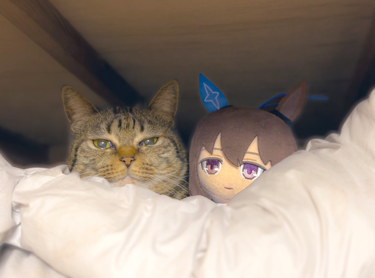 Bloop_beast's tweet image. ﾈｹﾁｪﾝ…