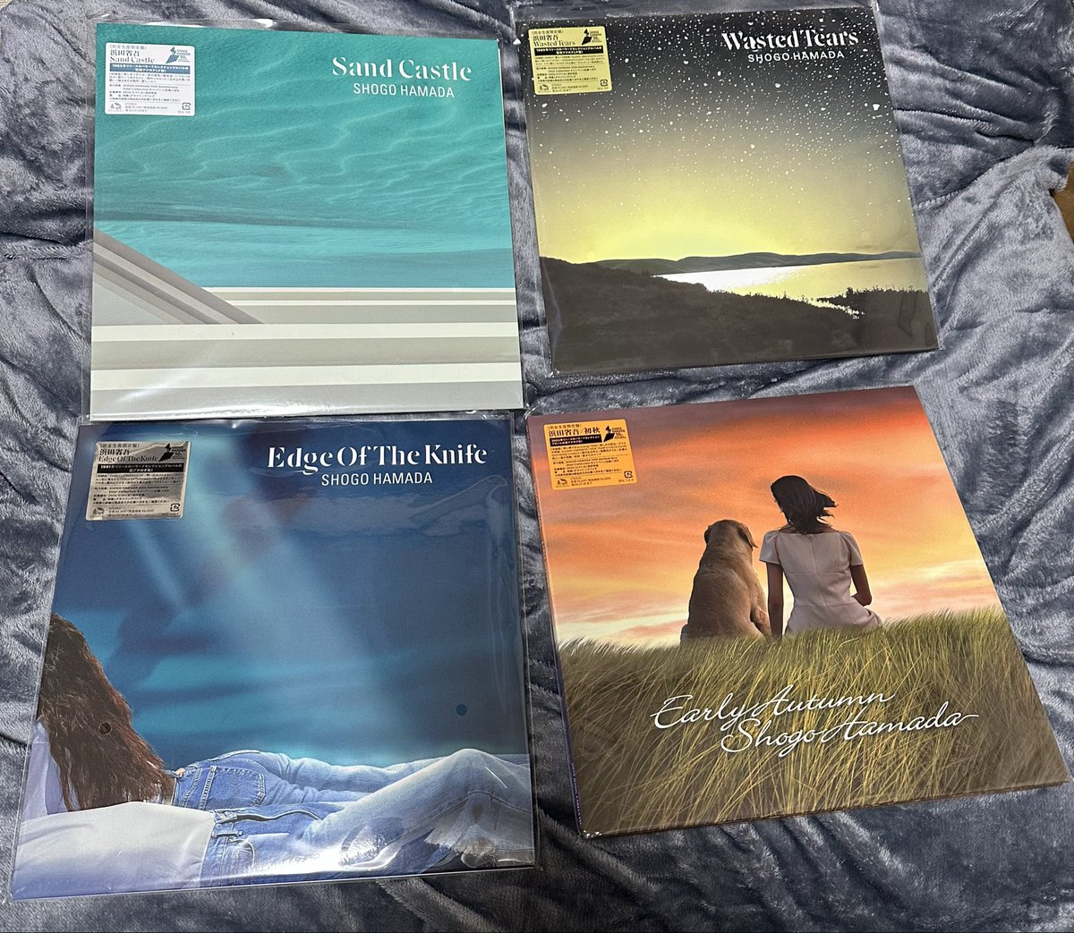 masa_h_rock's tweet photo. 届いてた
#浜田省吾
#アナログ盤
#SandCastle
#WastedTears
#EdgeOfTheKnife
#初秋 https://t.co/eFHkdBlaLV