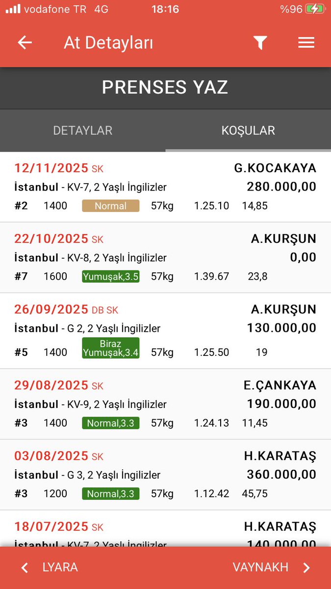 İSTANBUL PRENSES YAZ günün bankosu olarak işaretlenmelidir