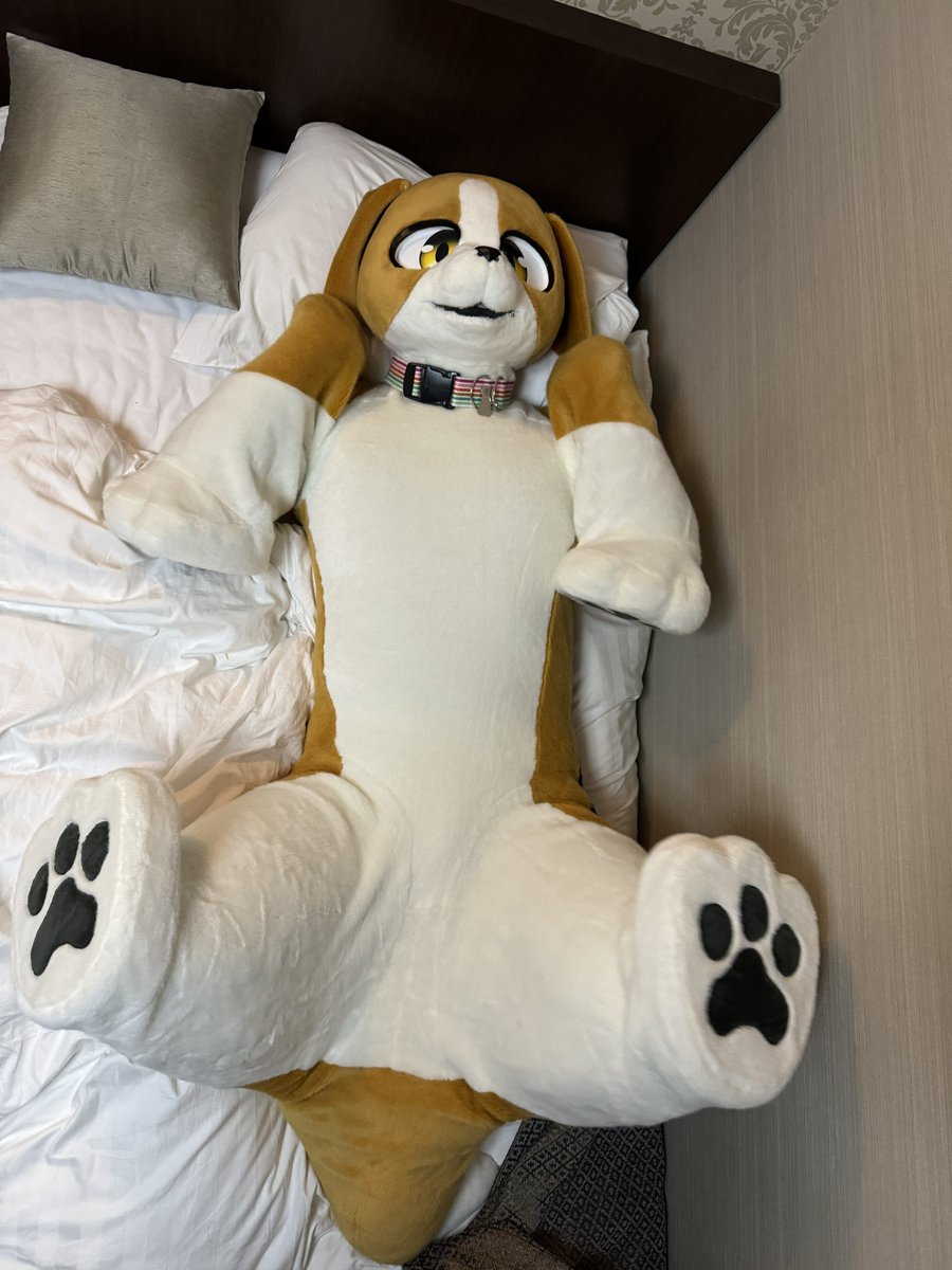 こっちはイヌイヌフォーム🐕