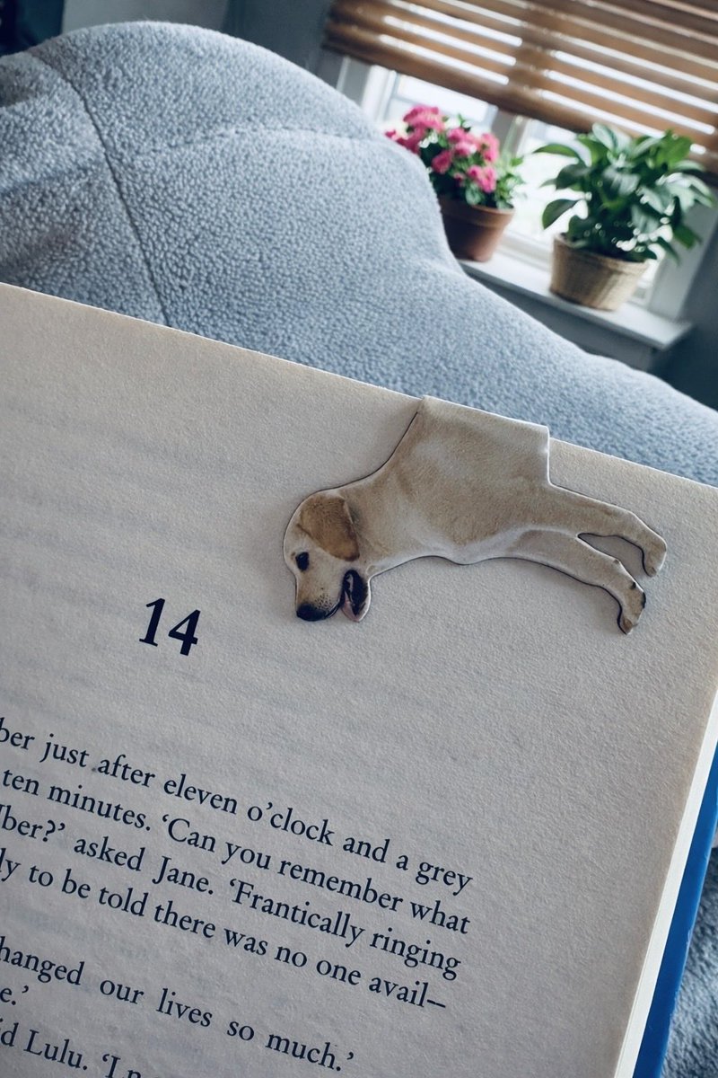 Andrew Reads tweet media