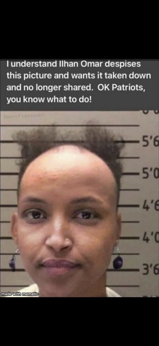 cecegkh's tweet image. Let’s flood our timelines with this picture of Ilhan Omar. 

Let’s remind her that we know exactly who she is and what she has done to OUR country.