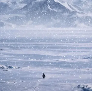 VaneXTrench's tweet photo. The penguin is walking on The SNOW 

He lives on the Snow 

Why it isn't bonded yet " The SNOW " 

I am gonna pay dex with Fees  and then gonna add it to Snowball tech https://t.co/9v2szCnxHj