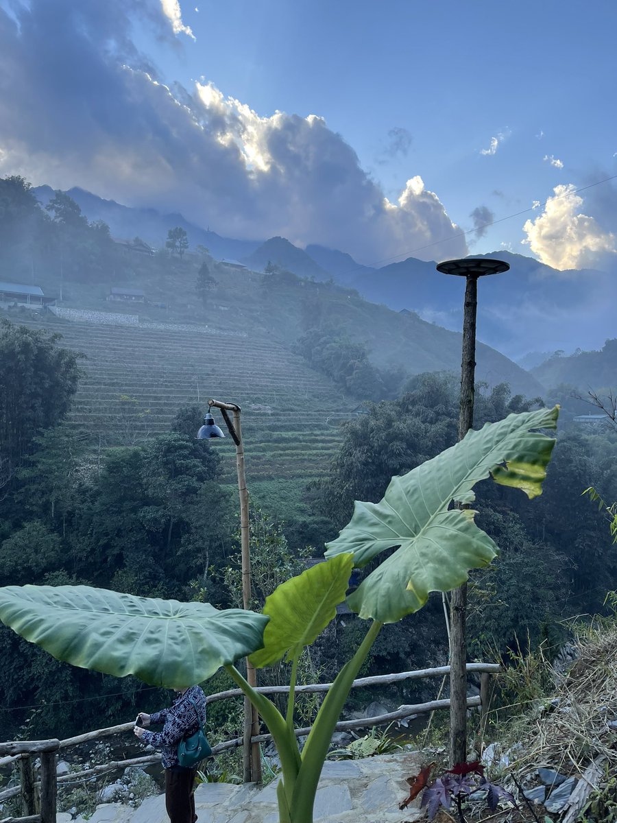 maplewaster's tweet image. vietnam is so kewl