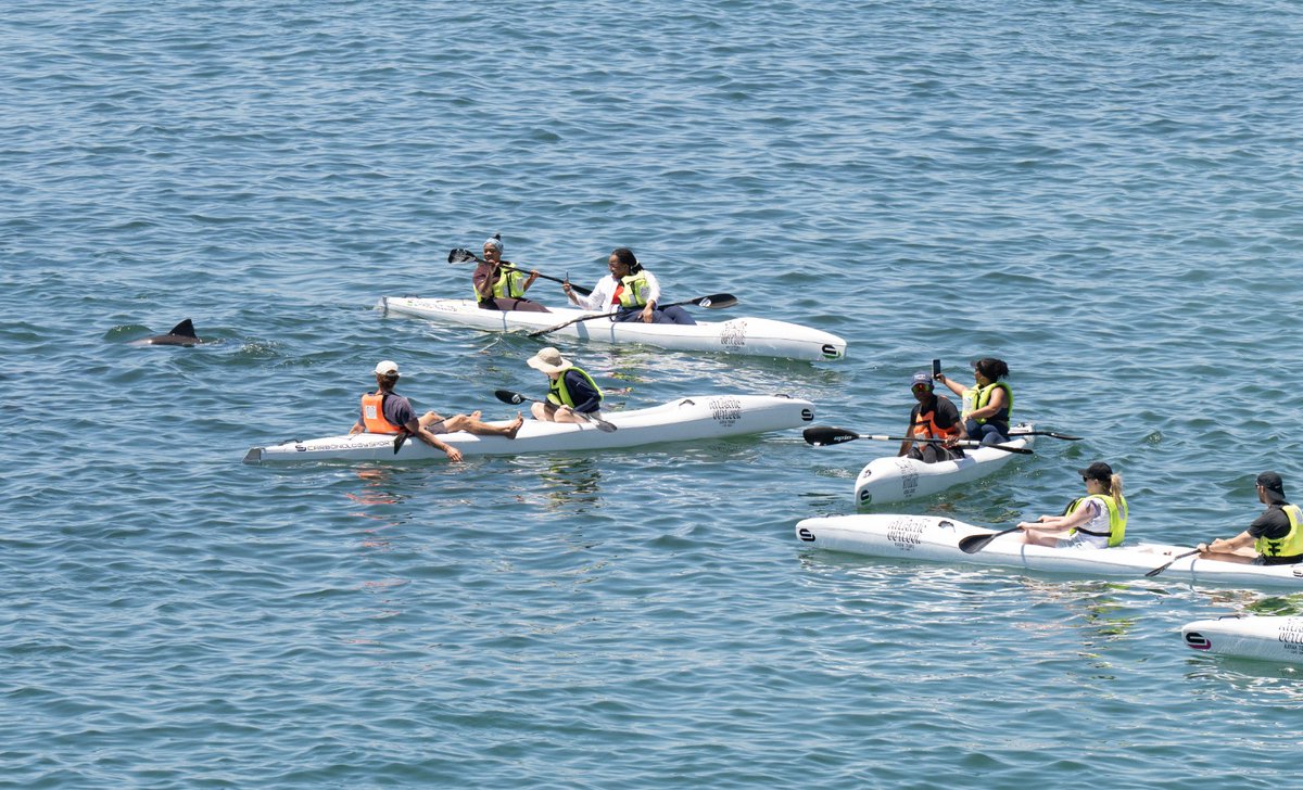 IOL's tweet photo. In Table Bay, kayakers glide across the water while dolphins leap near Granger Bay harbour. https://t.co/vwosM1qBoJ
📷: Henk Kruger / Independent Newspapers

#kayakers #water #dolphins #harbour https://t.co/x2YU9atbqT