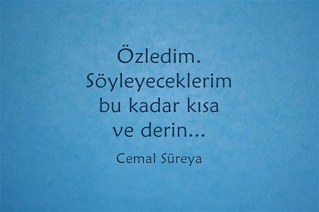 <a href="/gizemnett/">elif</a> ⌛️