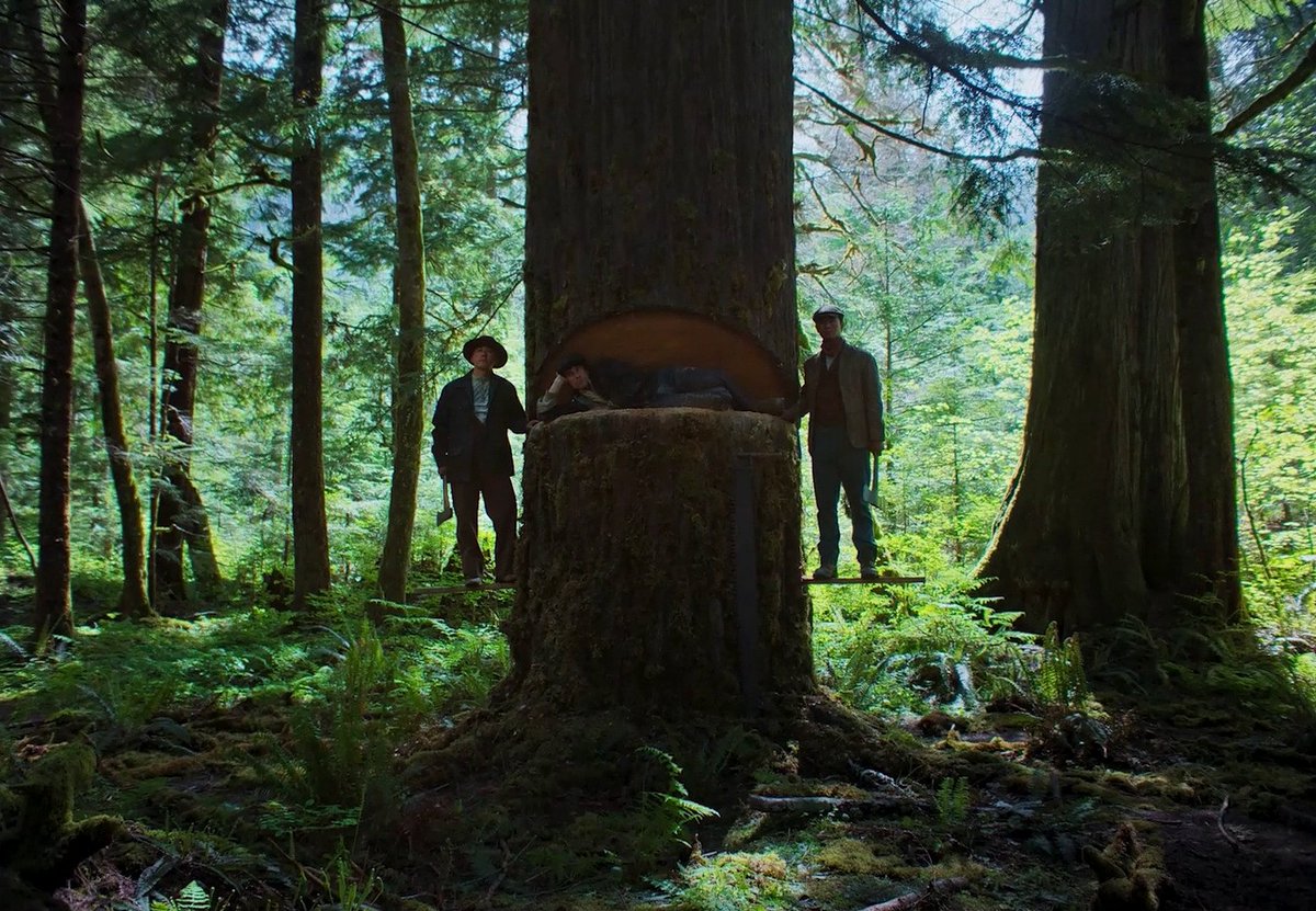 screenscaps's tweet photo. train dreams (2025) dir. clint bentley https://t.co/aAMbLcd90P