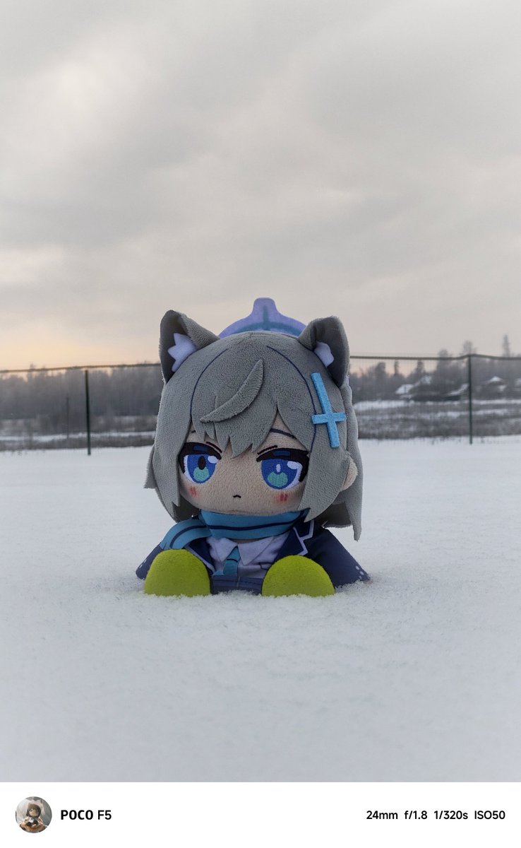 Matogashi_Iso's tweet image. #ブルアカぬいぬい部