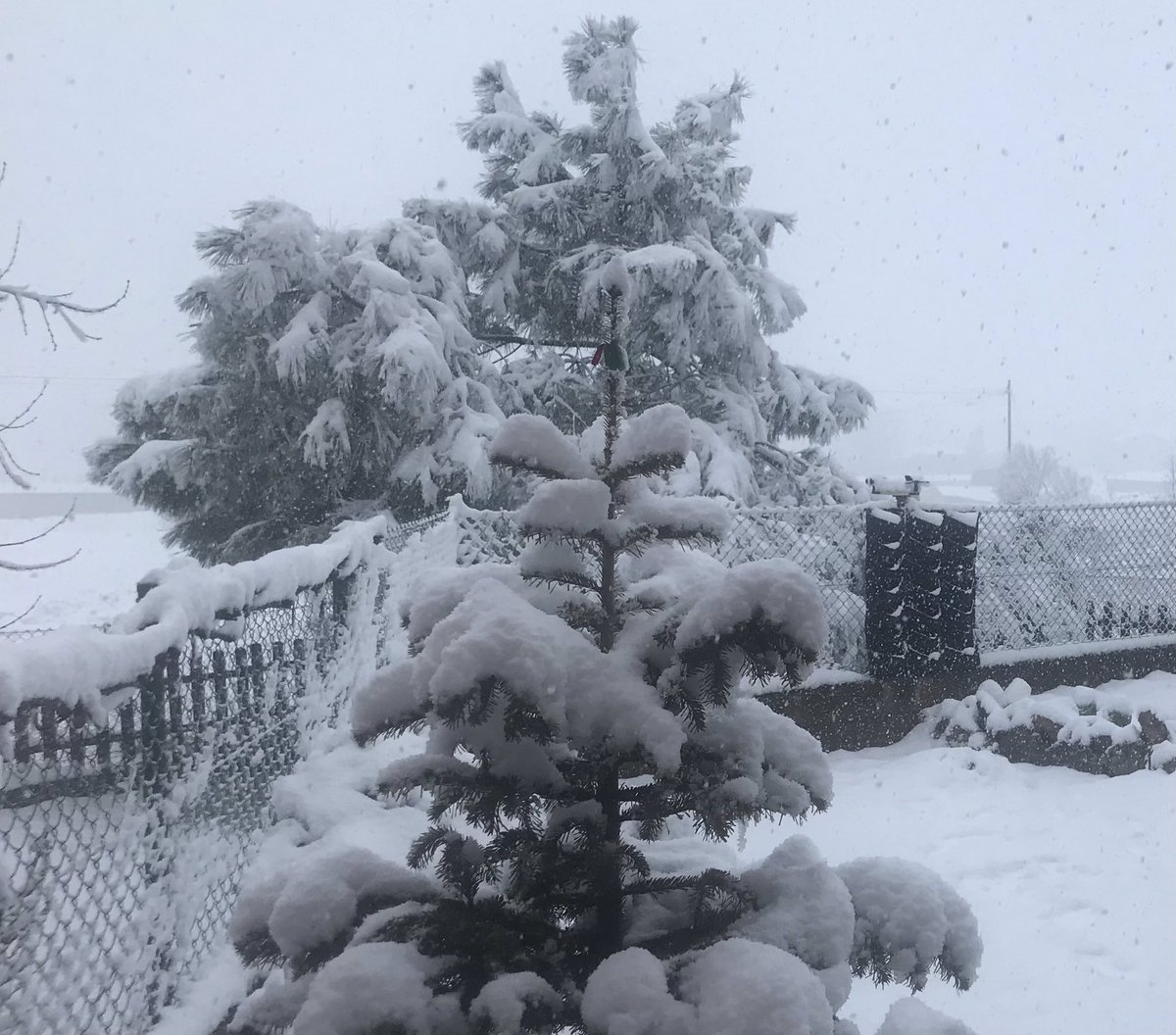 Consell Comarcal del Moianès tweet media