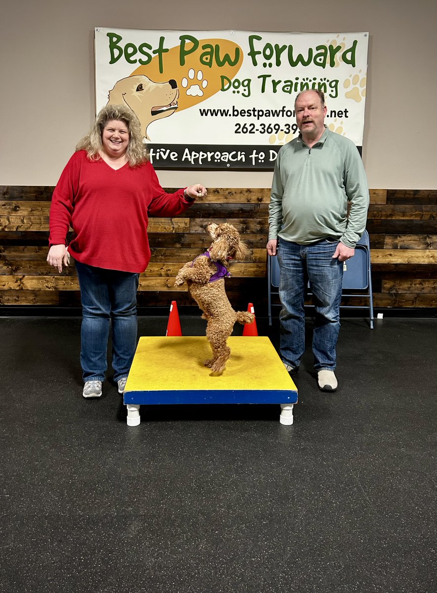 bestpawforwardw's tweet photo. A huge congratulations to the #AgilityPlus grads! These teams took their game to the next level and it was nothing short of amazing. Each week brought a new course challenge that strengthened their teamwork and focus. #GradPhotos #Agility #Dogs #DogSports #RewardBasedTraining https://t.co/fGxSYzYuTL