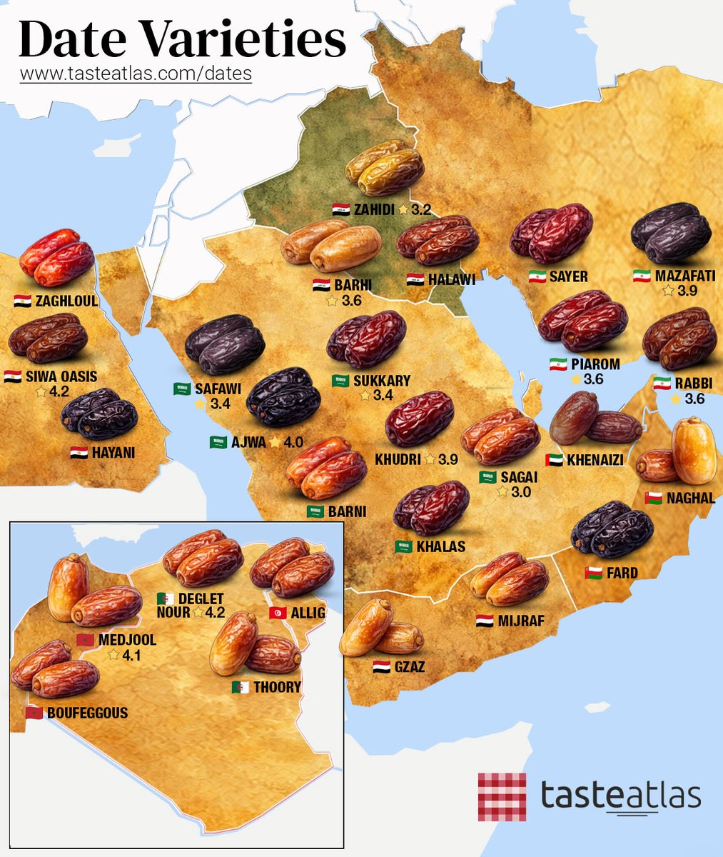 TasteAtlas's tweet image. From the plush, caramel-rich Medjool of Morocco to the firm, nutty Deglet Noor of Algeria and the dark, "holy" Ajwa of Medina, the Middle East and North Africa offer hundreds of distinct date types that vary wildly in taste and texture. From syrupy and soft to dry and bread-like,…