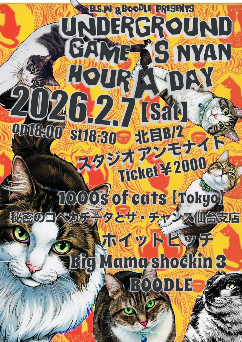 2週間後！北目B2で乾杯しよう！
『UNDERGROUND GAME IS ニャン🐱HOUR A DAY』

2026.2.7(土) 北目B2
op 18:00/st 18:30 Ticket￥2000
【BAND】
1000s of cats(東京)
秘密のコペカチータとｻﾞ ﾁｬﾝｽ仙台支店
ホイットビッチ
Big Mama Shockin 3
BOODLE
【Live Paint】
Yui/404:p