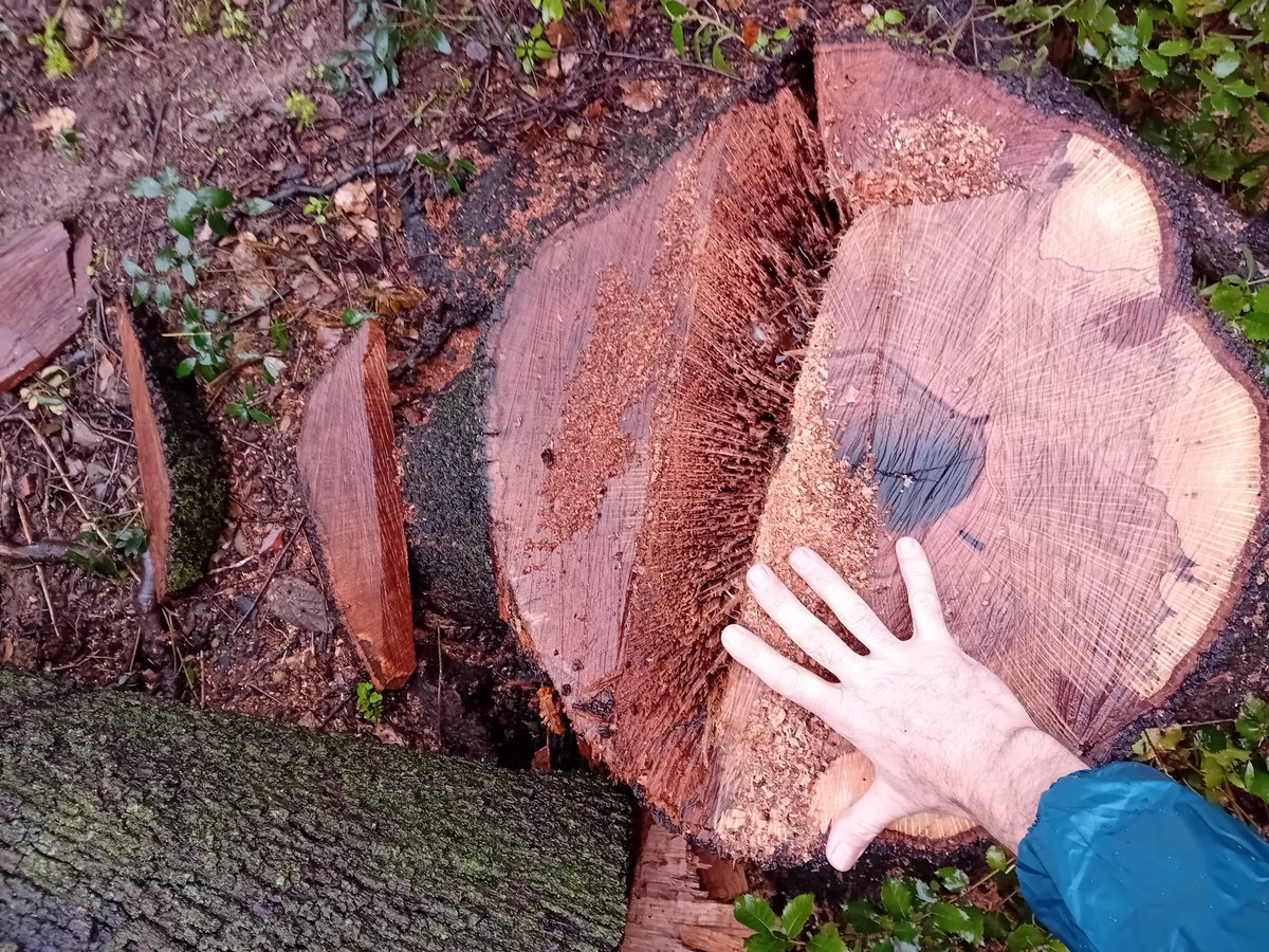 Jardins Can Sentmenat tweet media