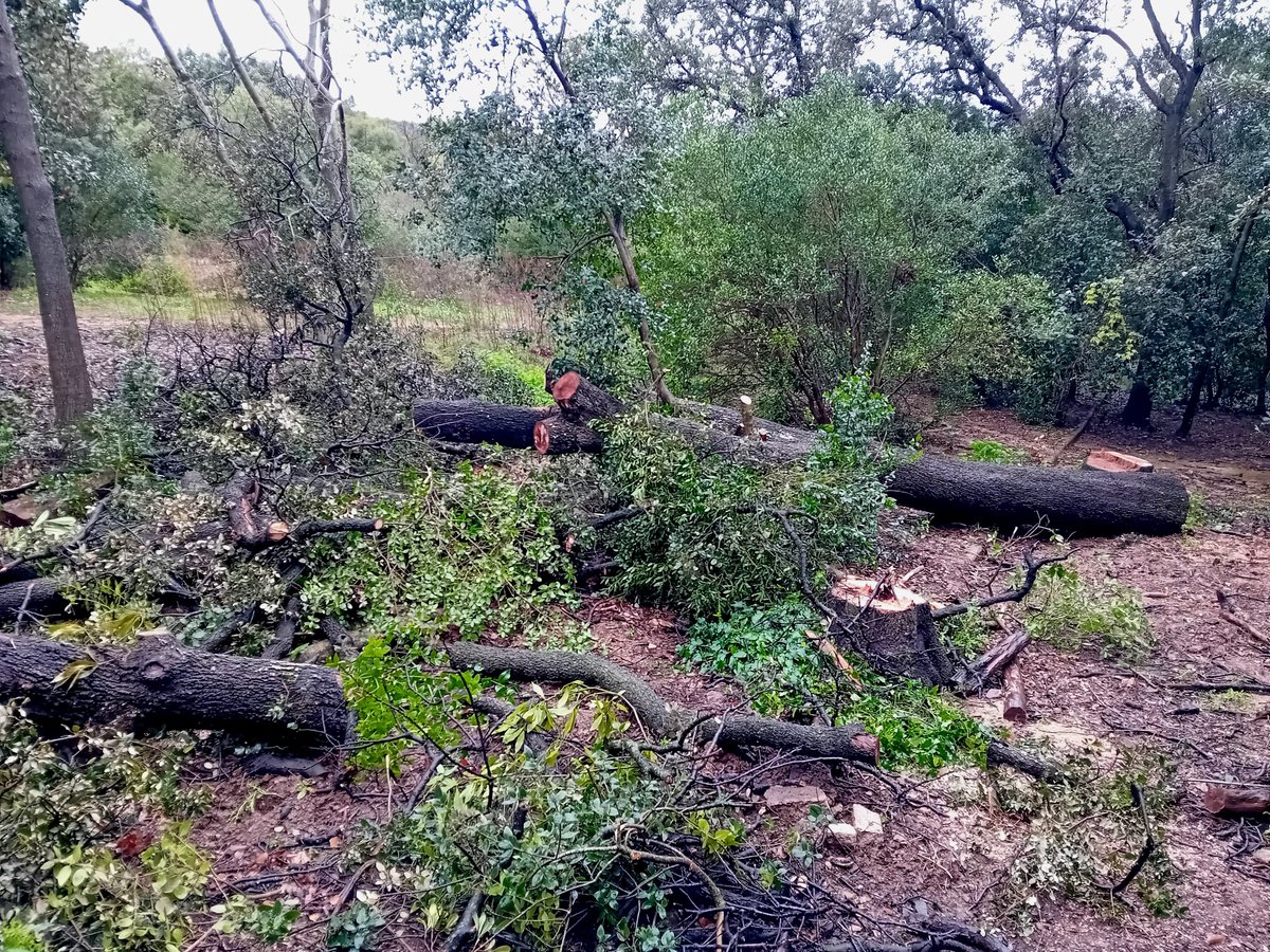 Jardins Can Sentmenat tweet media