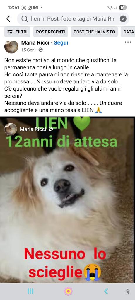 ANCHE QUESTO È IN ATTESA DI....
E INTANTO ASPETTANDO SONO 
PASSATI GLI ANNI. RPRPRP UNA
MANO SUL CUORE X QUESTO 
DOLCE PASSEROTTO. GRAZIE 
MARIA 329 8041186
🙏😭🙏❤️🐾🍀🌺😟💔💔💔🐞