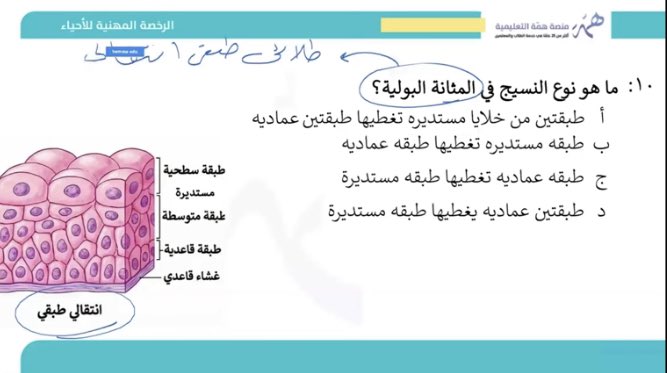 منصة همّة التعليمية tweet media