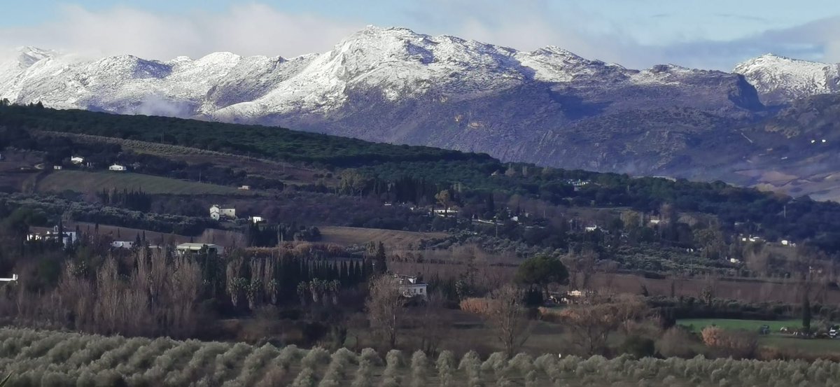 <a href="/Zappa_Malaga/">Zappa ۞</a> Qué bonita está.
Mira cómo se ve desde allí cerquita