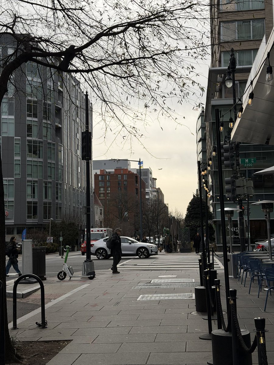 ivanildoiii's tweet image. Eu só queria viver num país que enterrassem os fios, sabe