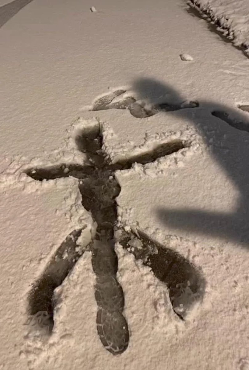 Papa V Perpetua PARODY ACCOUNT tweet media