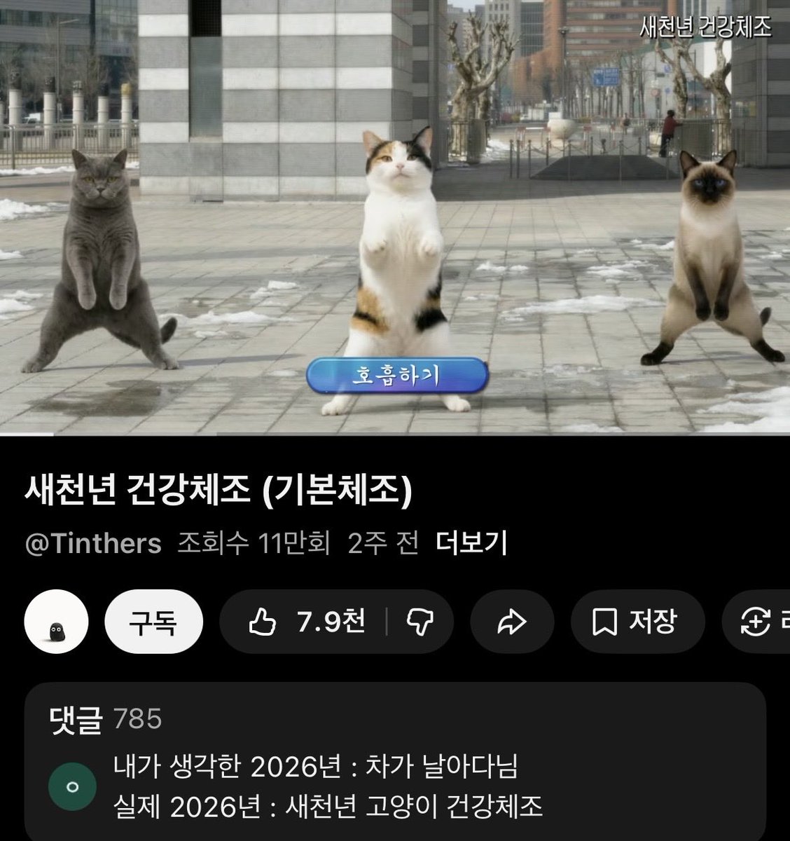 hoehamm's tweet image. ㅈㄴ힐링된다