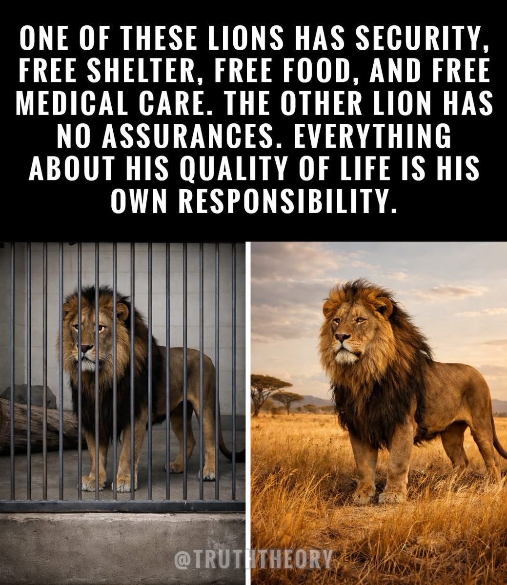 Andrew Bridgen tweet media