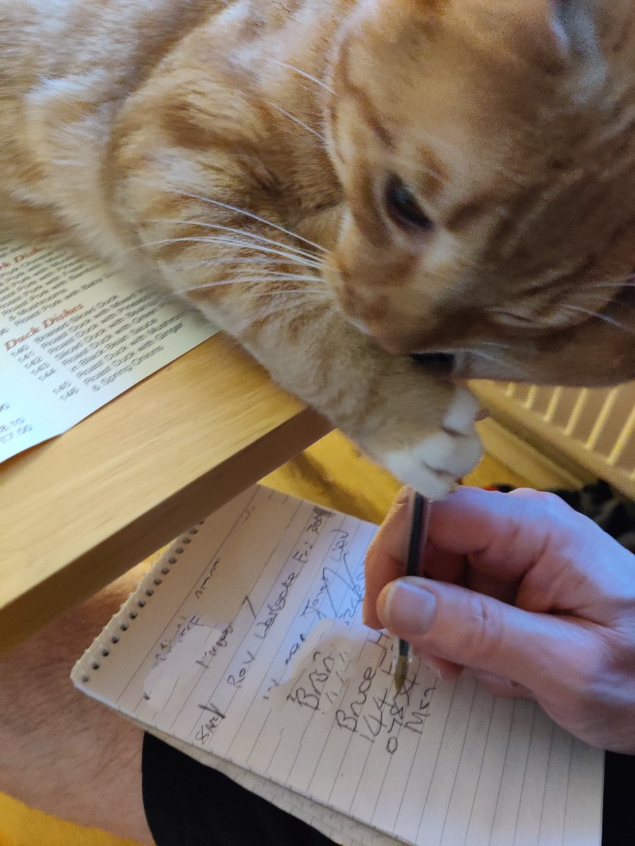 GasLockKey's tweet photo. This is why I find it hard to do admin from home. https://t.co/B17Yoj6bZ5