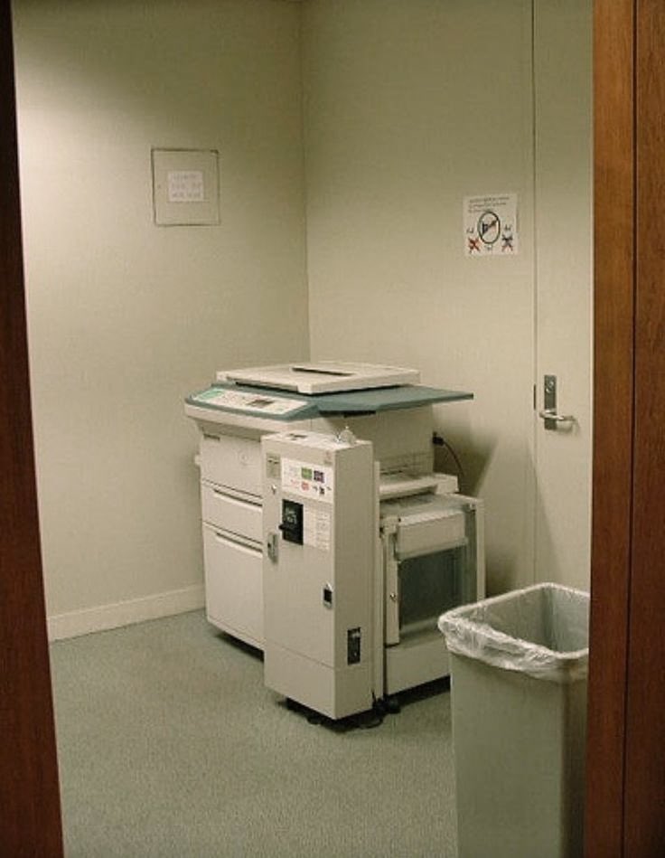 Viktor Reveck tweet media