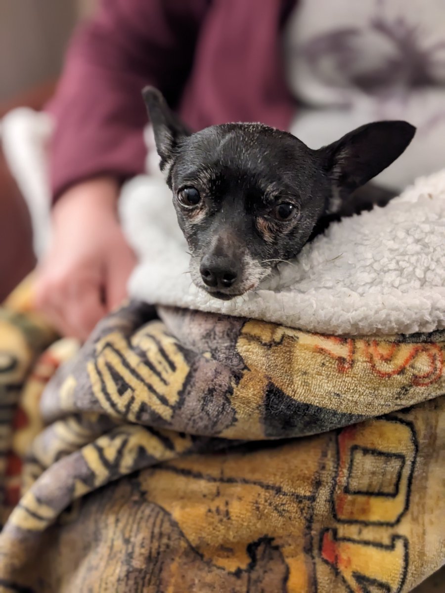 Rico says remember to stay temperature regulated.