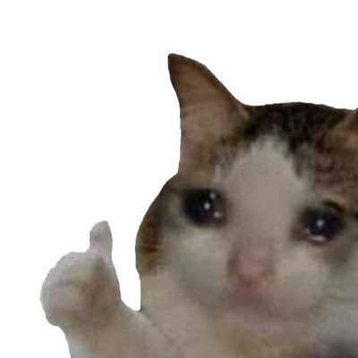 Ret Suiever 🪖 tweet media