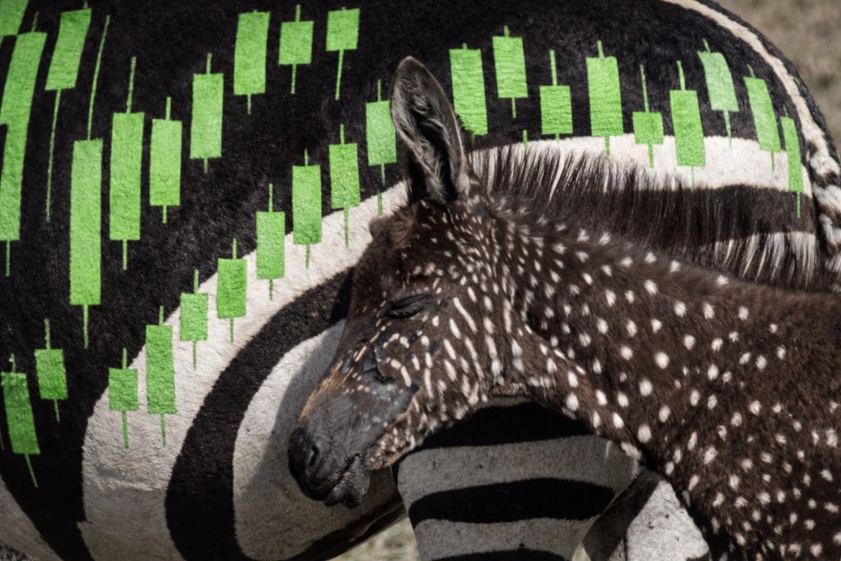 0xcMUZ's tweet photo. green candle brown zebra $TIRA https://t.co/1ViufQjkL6