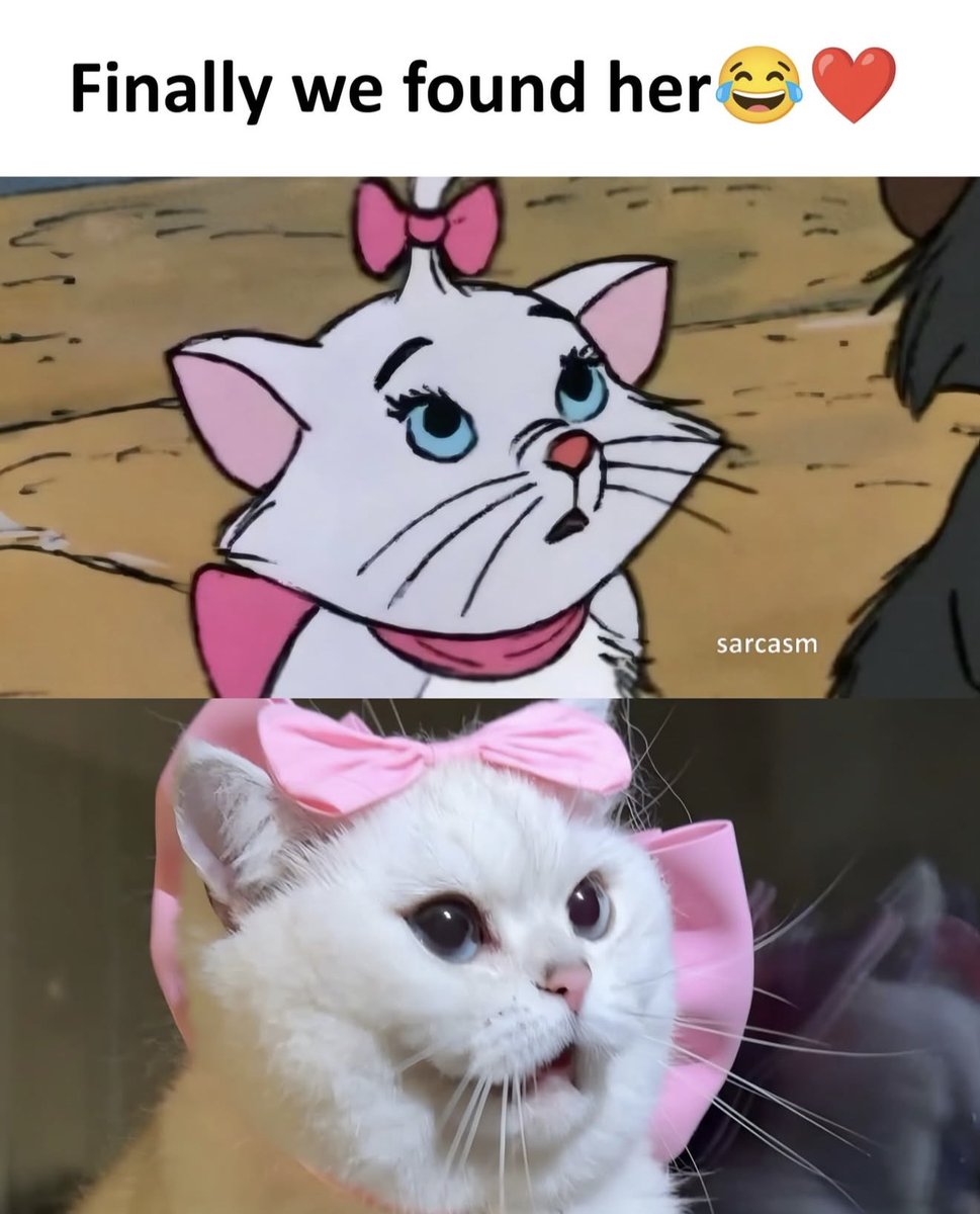 Antidepressant Content (@depressionlesss) on Twitter photo 