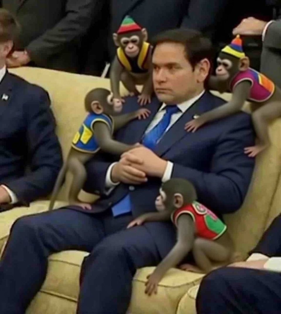 Marco Rubio realizing this is his circus and they are his monkeys.