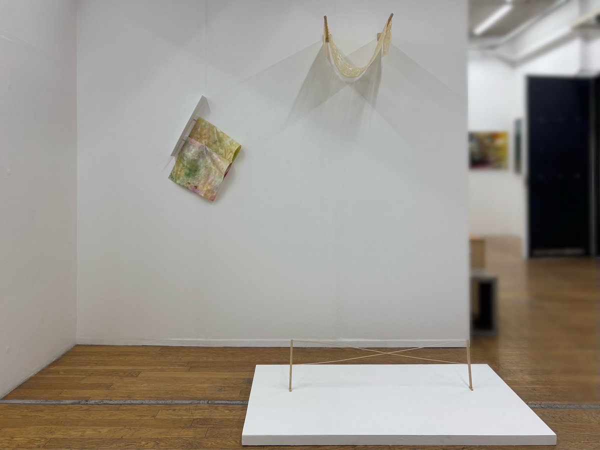 幸せに歩く！ (@qnem0ne_) on Twitter photo 