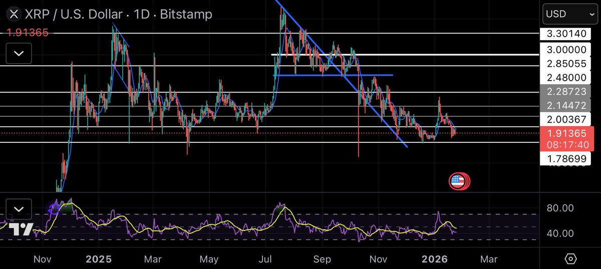 XRPhodler tweet media