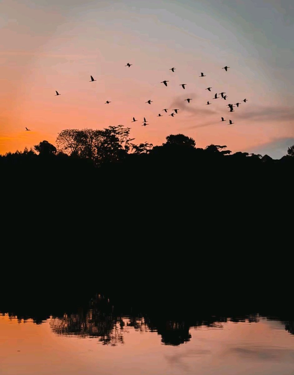 wildcanvasbull's tweet photo. Show me your Best sunset Photo 📸 https://t.co/ZALscjgO0m