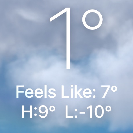 🐸Lex🐍 tweet media