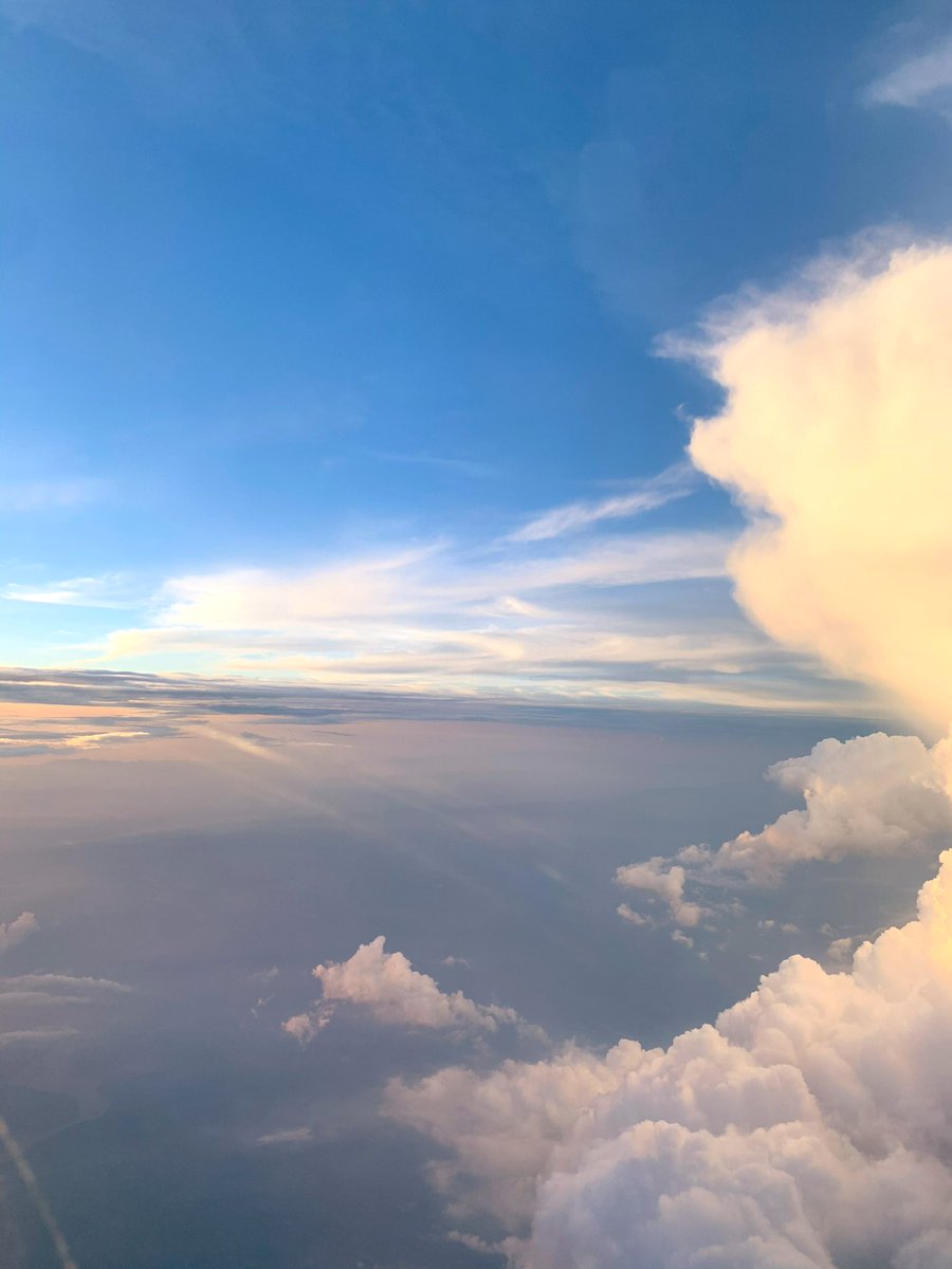 没有给猪开智的义务 tweet media